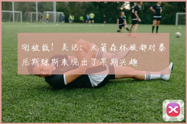 刚被裁！美记：火箭森林狼都对泰厄斯琼斯表现出了早期兴趣