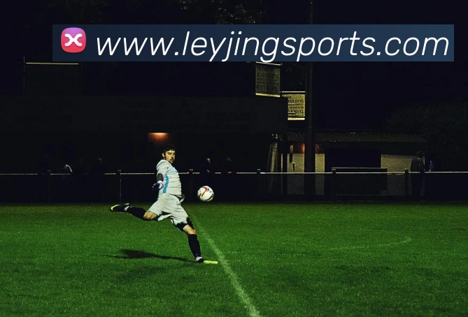 乐竟体育平台生态图