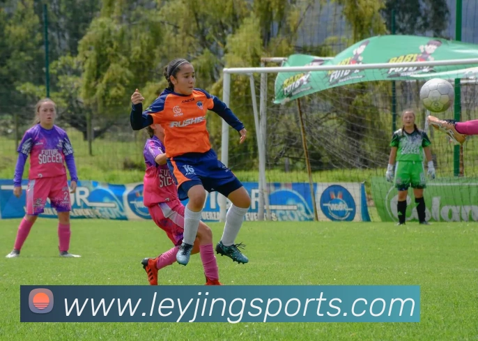 数据防护可视化